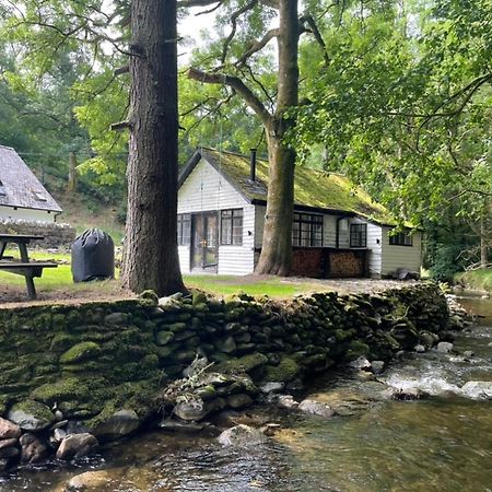 Cuckoo Cabin, Tyn Y Cwm Eglwys-Fach المظهر الخارجي الصورة