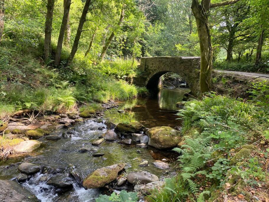 Cuckoo Cabin, Tyn Y Cwm Eglwys-Fach المظهر الخارجي الصورة